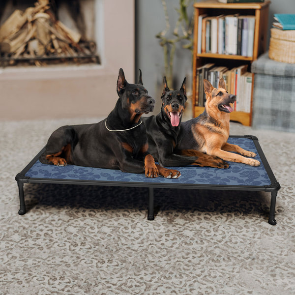 Tucker Murphy Pet Chew Proof Elevated Dog Bed Cooling Raised Pet Cot